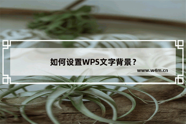 如何设置WPS文字背景？