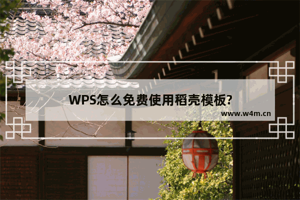 WPS怎么免费使用稻壳模板?