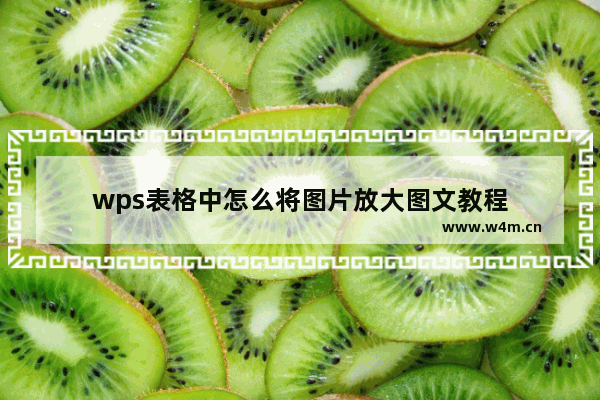 wps表格中怎么将图片放大图文教程