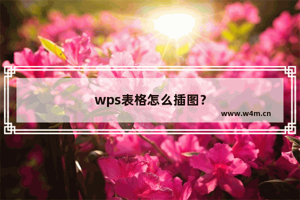 wps表格怎么插图？