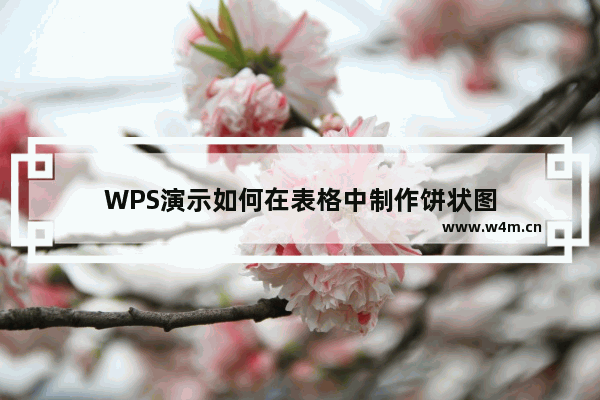 WPS演示如何在表格中制作饼状图