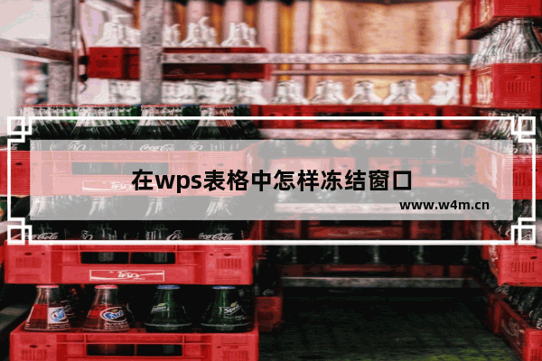 在wps表格中怎样冻结窗口