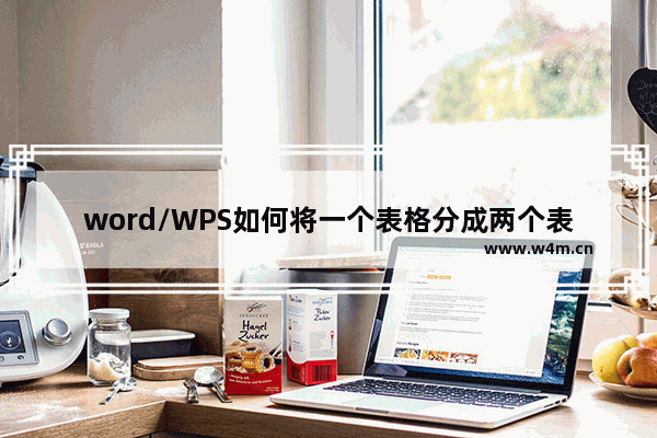 word/WPS如何将一个表格分成两个表格?