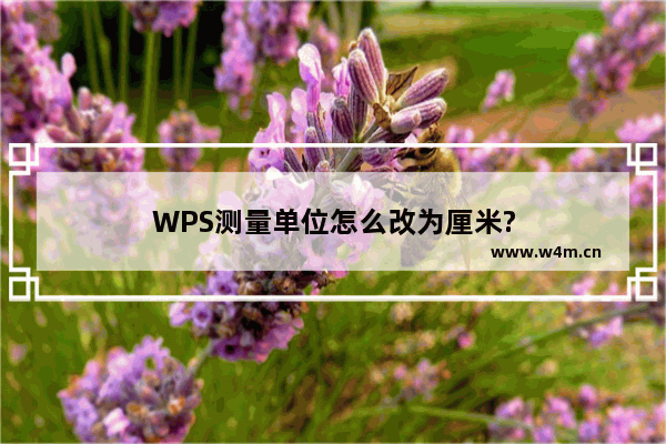 WPS测量单位怎么改为厘米?