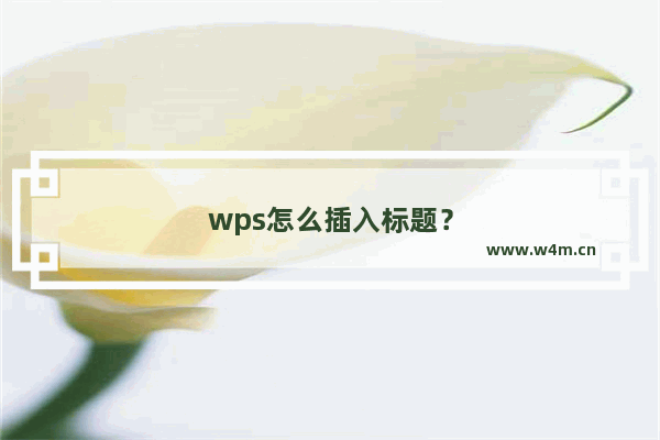 wps怎么插入标题？