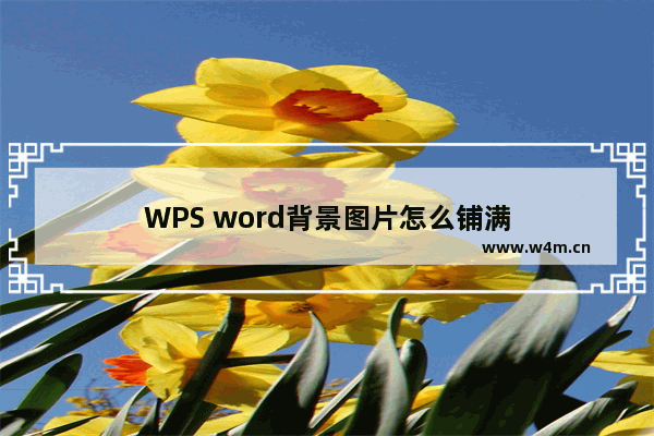 WPS word背景图片怎么铺满