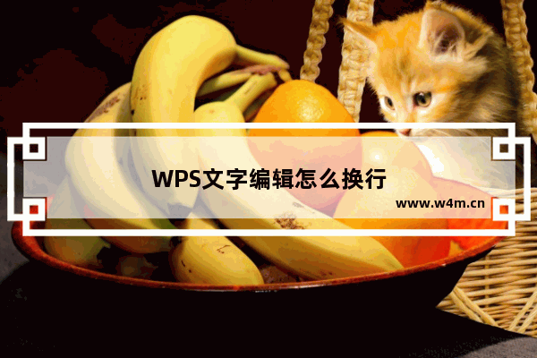 WPS文字编辑怎么换行