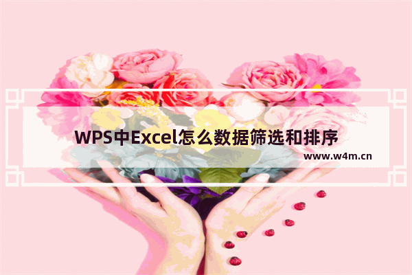 WPS中Excel怎么数据筛选和排序