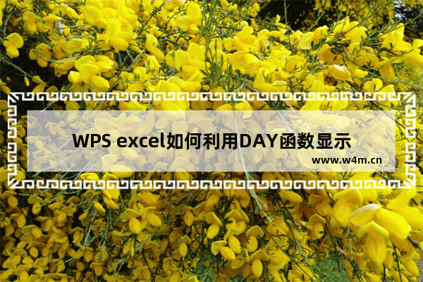 WPS excel如何利用DAY函数显示日期天数？