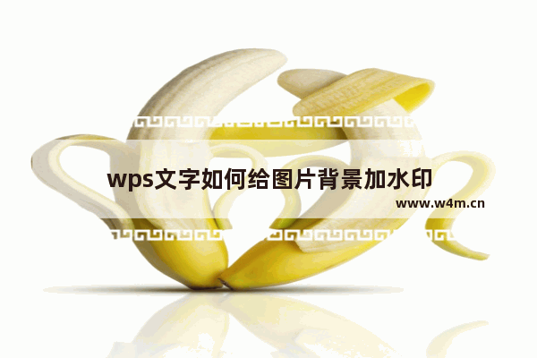 wps文字如何给图片背景加水印