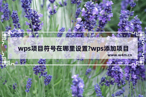 wps项目符号在哪里设置?wps添加项目符号方法介绍