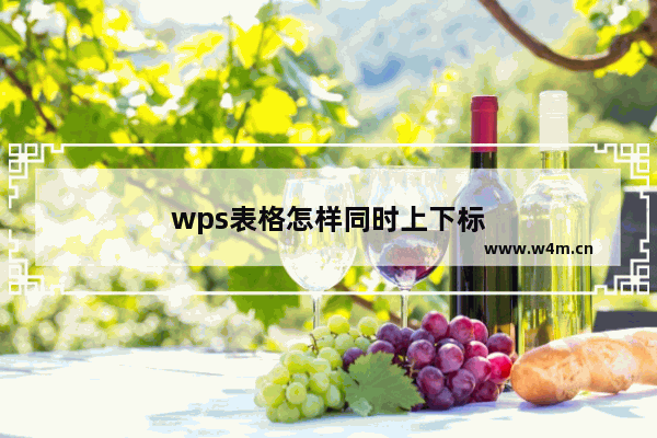 wps表格怎样同时上下标