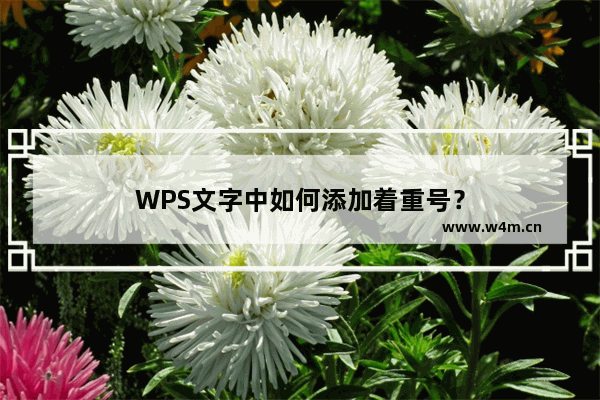 WPS文字中如何添加着重号？