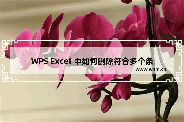 WPS Excel 中如何删除符合多个条件的重复项