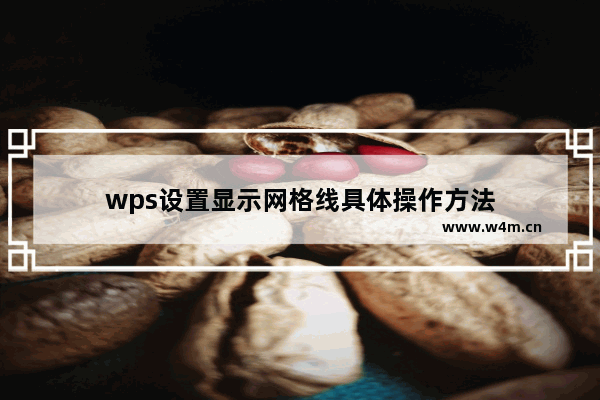 wps设置显示网格线具体操作方法