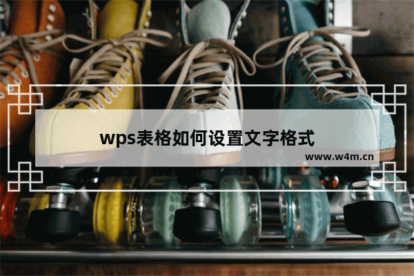 wps表格如何设置文字格式