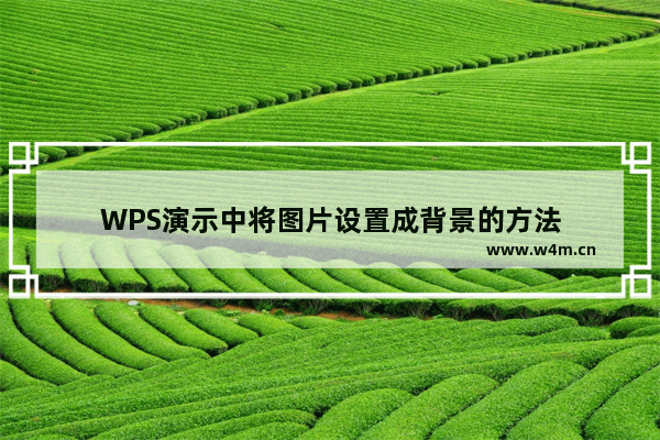 WPS演示中将图片设置成背景的方法