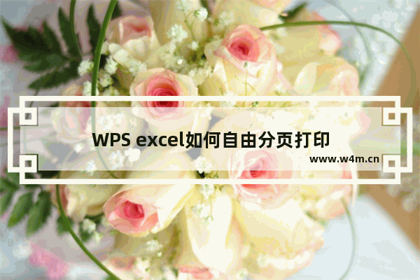 WPS excel如何自由分页打印