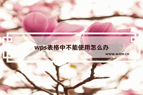 wps表格中不能使用怎么办