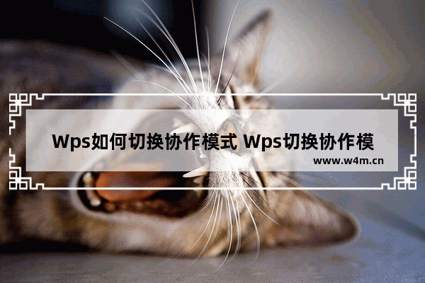 Wps如何切换协作模式 Wps切换协作模式的方法