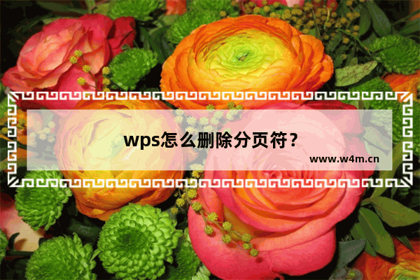 wps怎么删除分页符？