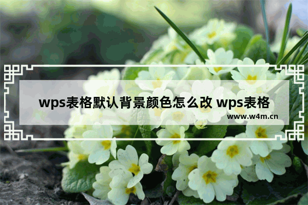 wps表格默认背景颜色怎么改 wps表格更换背景颜色教程