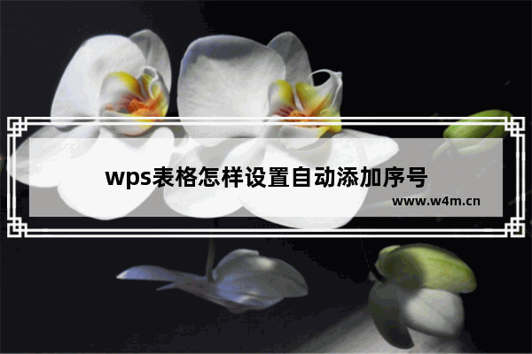 wps表格怎样设置自动添加序号