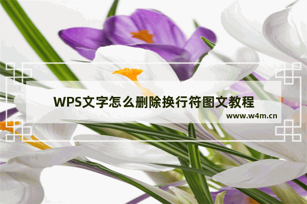 WPS文字怎么删除换行符图文教程