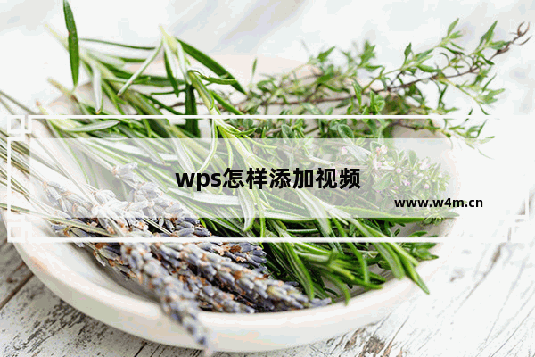 wps怎样添加视频