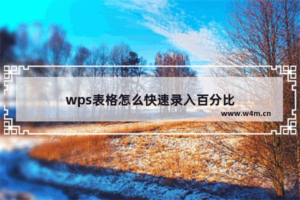 wps表格怎么快速录入百分比