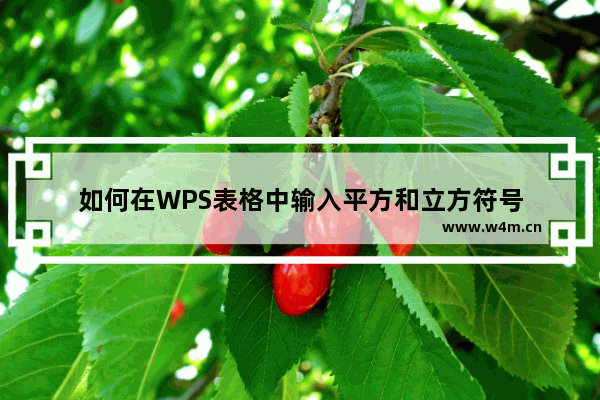 如何在WPS表格中输入平方和立方符号