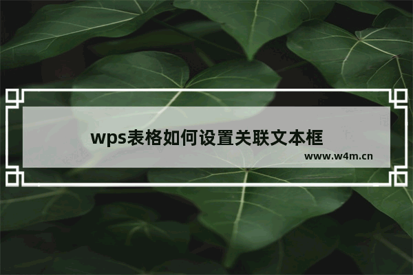 wps表格如何设置关联文本框