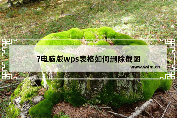 ?电脑版wps表格如何删除截图