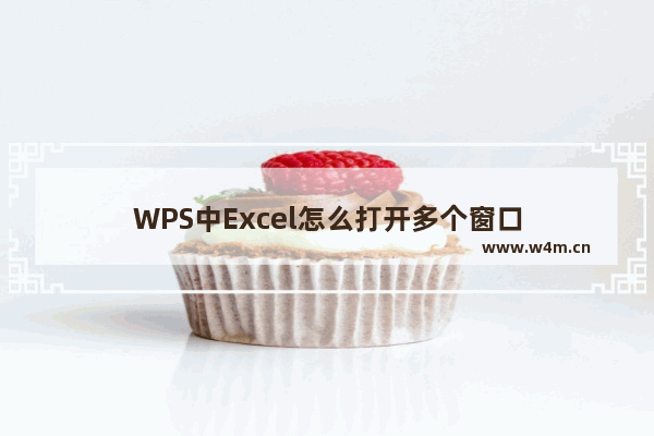 WPS中Excel怎么打开多个窗口