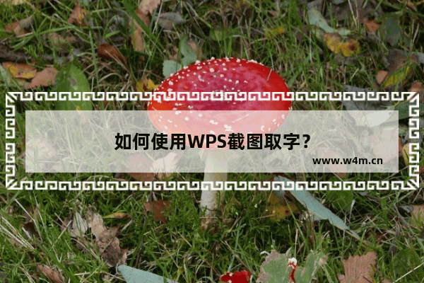 如何使用WPS截图取字？