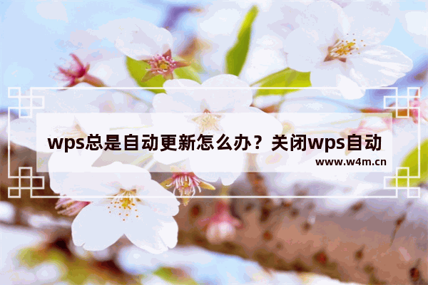 wps总是自动更新怎么办？关闭wps自动更新设置的方法教程