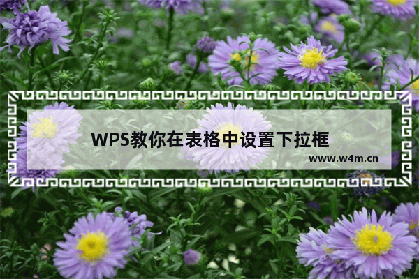 WPS教你在表格中设置下拉框