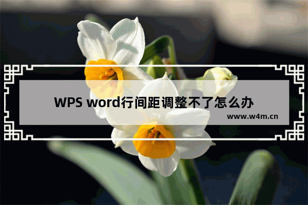 WPS word行间距调整不了怎么办