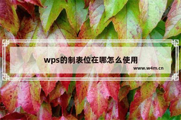 wps的制表位在哪怎么使用