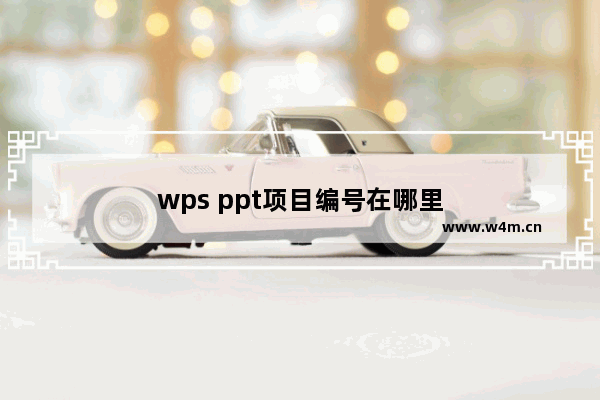 wps ppt项目编号在哪里