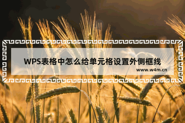 WPS表格中怎么给单元格设置外侧框线