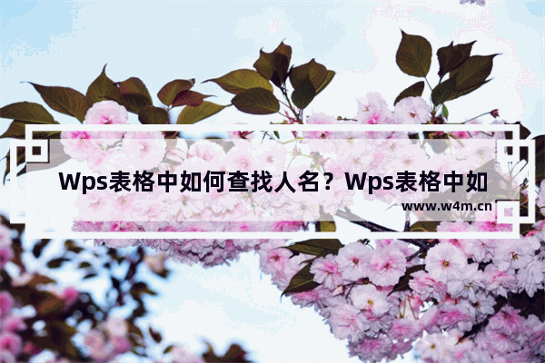 Wps表格中如何查找人名？Wps表格中如何查找人名的方法