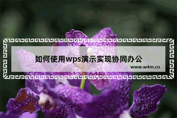 如何使用wps演示实现协同办公