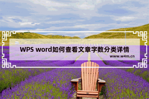 WPS word如何查看文章字数分类详情