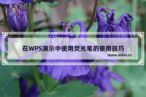 在WPS演示中使用荧光笔的使用技巧