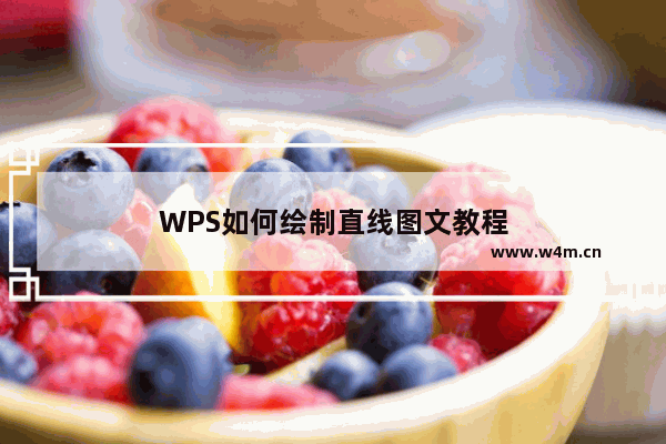 WPS如何绘制直线图文教程