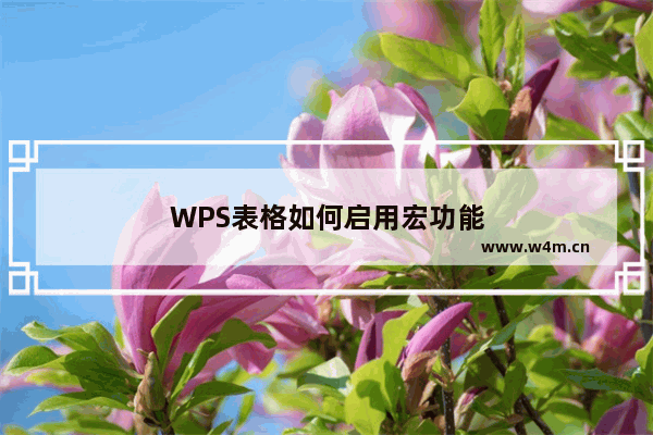 WPS表格如何启用宏功能