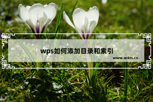 wps如何添加目录和索引