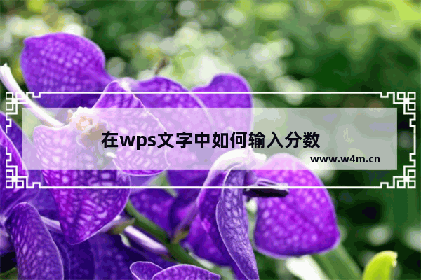 在wps文字中如何输入分数