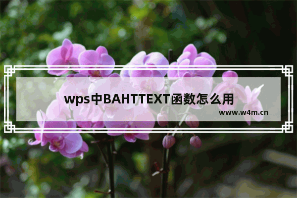 wps中BAHTTEXT函数怎么用